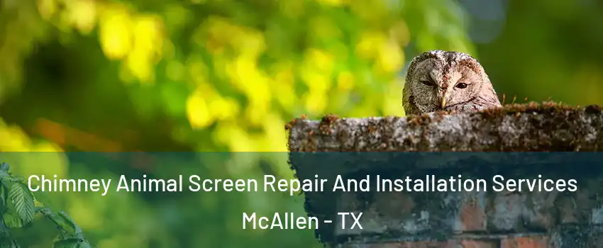  Chimney Animal Screen Repair And Installation Services McAllen - TX