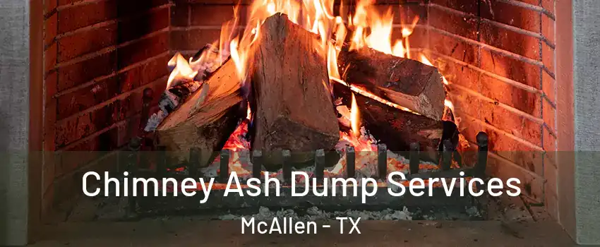  Chimney Ash Dump Services McAllen - TX