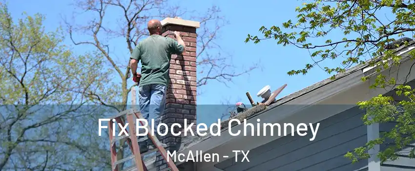  Fix Blocked Chimney McAllen - TX