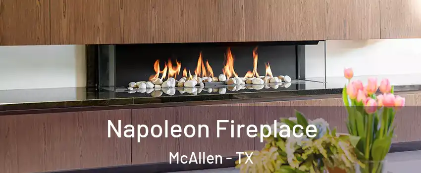  Napoleon Fireplace McAllen - TX